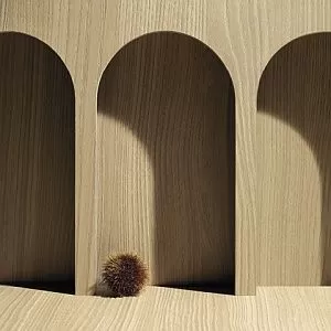 CORTECCIA 
